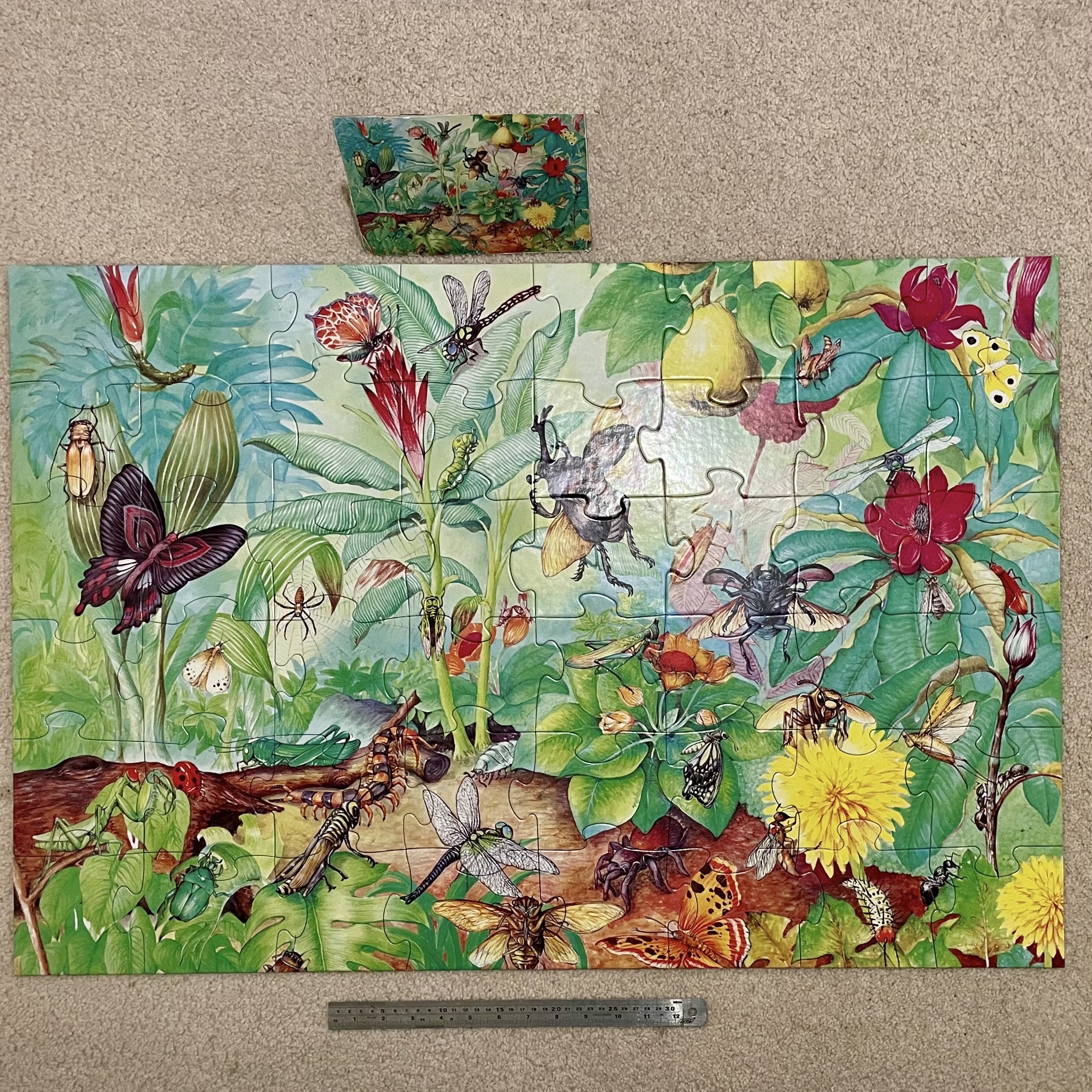 Puzzle - Bugs in the Glade