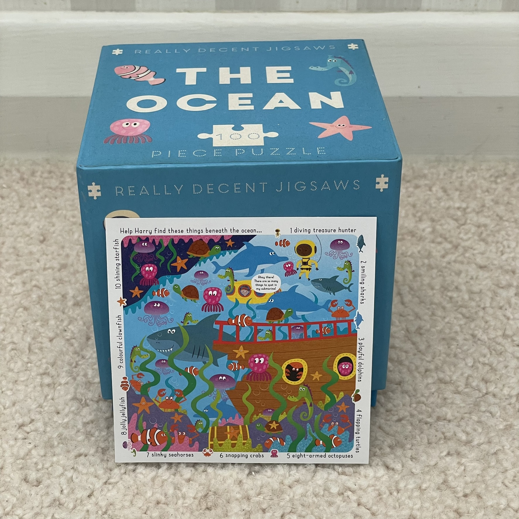 The Ocean Puzzle