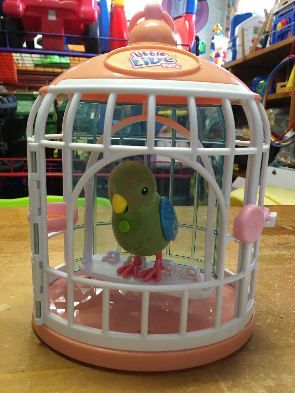 Tweet talking bird and cage (pink/green) photo